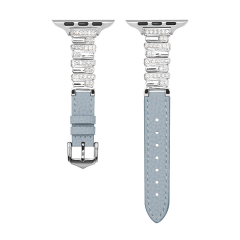 Blue / Silver